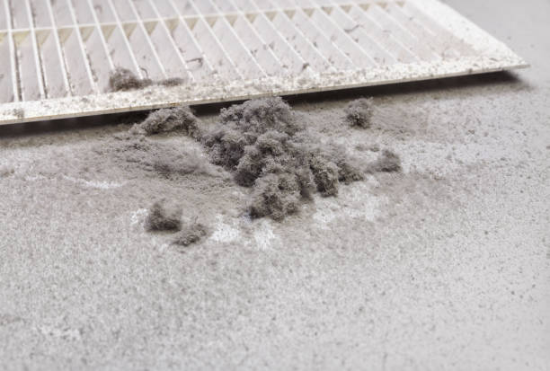 Best Affordable Duct Cleaning Services  in Brent, AL