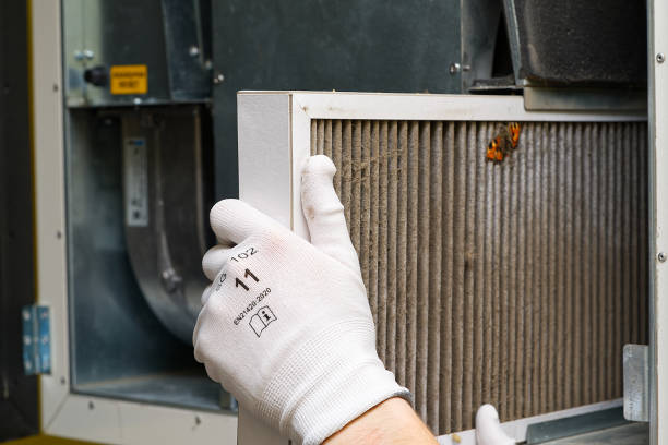 Best Air Quality Test  in Brent, AL